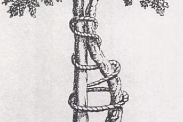 Nicolas Andry, Orthopedie, 1741